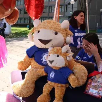 Feria de San Valentín Profesional.