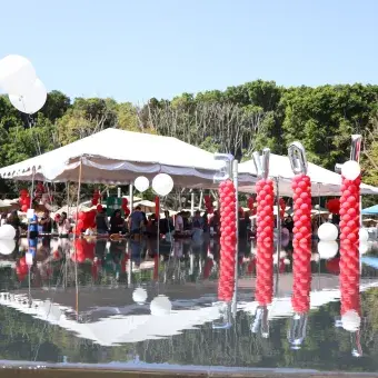 Feria de San Valentín Profesional.