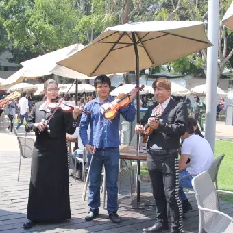 Feria de San Valentín Profesional.