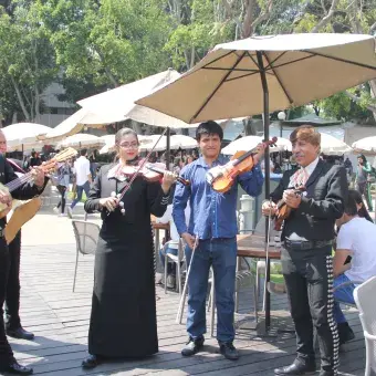 Feria de San Valentín Profesional.
