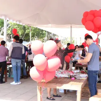 Feria de San Valentín Profesional.