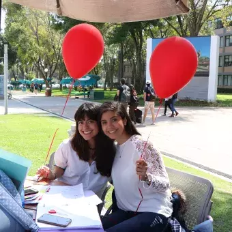 Feria de San Valentín Profesional.