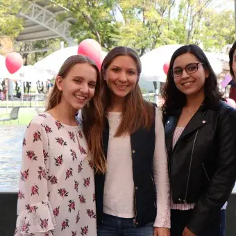 Feria de San Valentín Profesional.