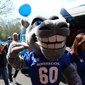 Mascota CCM