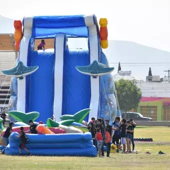 Encienden el conocimiento en niños Brilliant