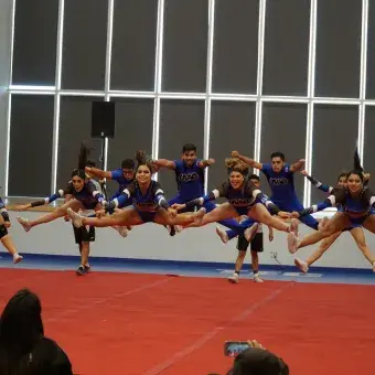 GruposAnimacion
