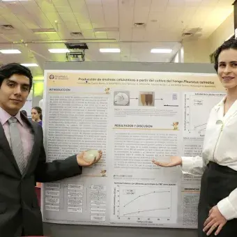 Expo Ingenierías