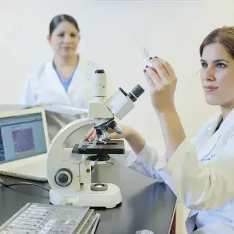 Escuela de Medicina y Ciencias de la Salud