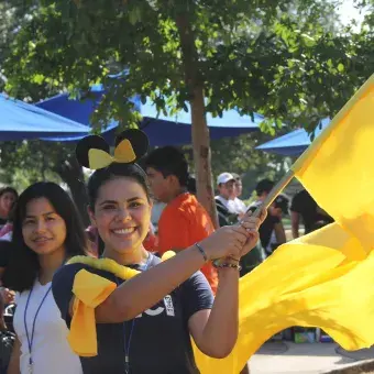 hitec y dia uno