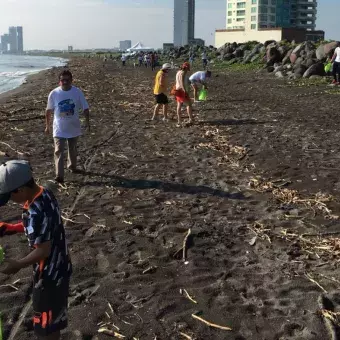 En Veracruz, los egresados del Tec se dedicaron a la limpieza en las playas.