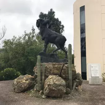 Borrego Campus Zacatecas.