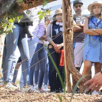 Actividad en terreno natural en Chihuahua.