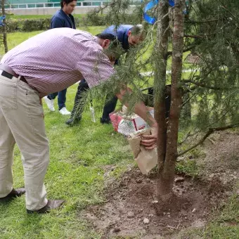 Maestros arrojando tierra a los arboles de las carreras