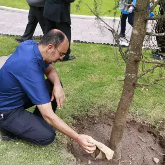 Director Hector Morelos con uno de los arboles de las carreras