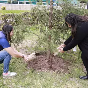 Alumnos arrojando tierra a uno de los arboles del jardín de las carreras