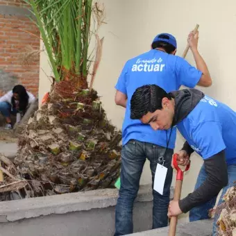 Limpiando las jardineras y podando los arbolitos 