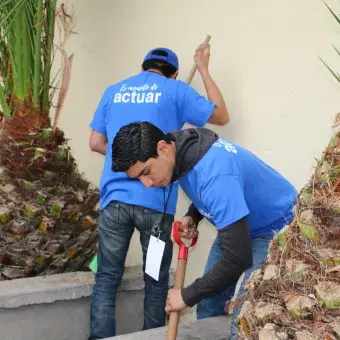 Limpiando las jardineras y podando los arbolitos 