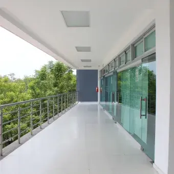 Pasillo, edificio de profesional, Campus Irapuato