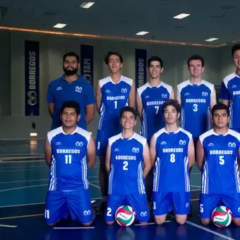 Equipo Representativo de Voleibol 