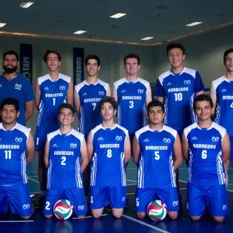 Equipo Representativo de Voleibol 