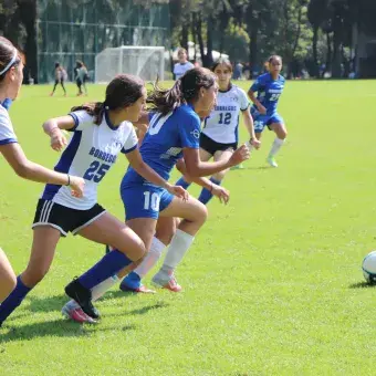 Intercampus 2019