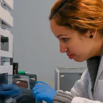 Recursos y herramientas esenciales para investigadores académicos