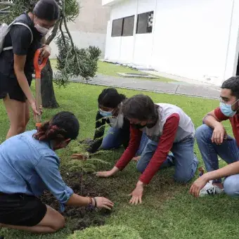 Varios de los participantes rodeando uno de los últimos árboles.