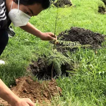 Moviendo y trabajando la tierra con las manos desnudas.