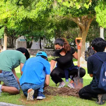 Miembros del grupo estudiantil trabajando juntos.