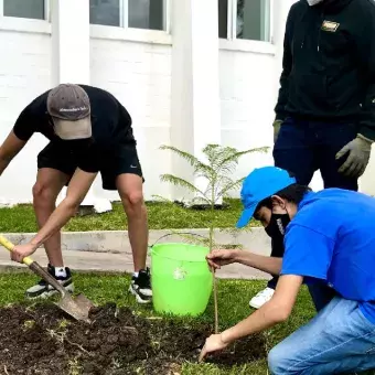 Los alumnos trajeron herramientas desde casa.