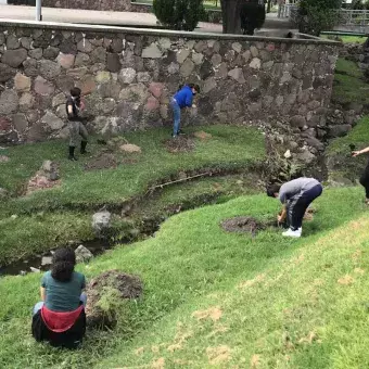 Plantando a las orillas del "río" del campus.