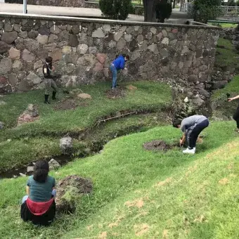 Plantando a las orillas del "río" del campus.