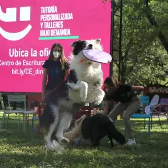 El perrito "Jack" jugó con su frisbee durante la dinámica del viernes pasado.