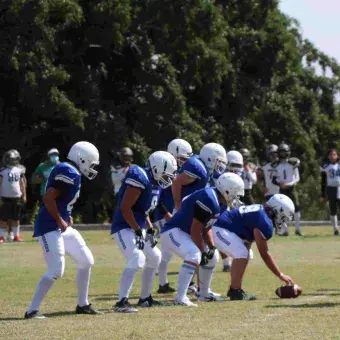 Partido Borregos