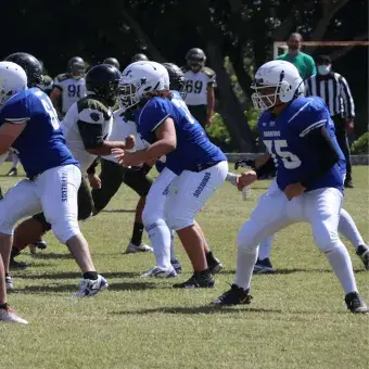 Partido de Borregos Tec