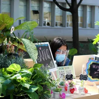 En el Love Fest también se podían encontrar productos ecológicos 