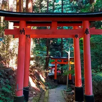 Alumnos de Tec Guadalajara plasman cultura japonesa en arte visual.