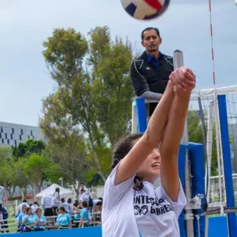 voleibol femenil