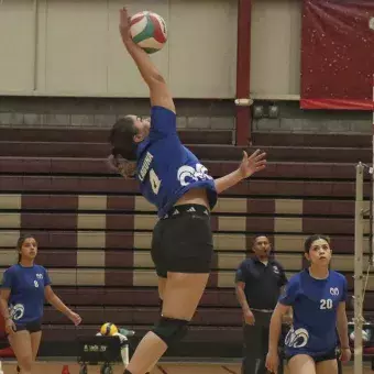 Borregos Laguna son cuarto lugar en voleibol femenil en competencia de la ADUL