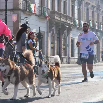 Perros corriendo en la carrera
