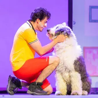 ¡Revive Legalmente Rubia el musical! Presentado por Tec Toluca (Fotos)