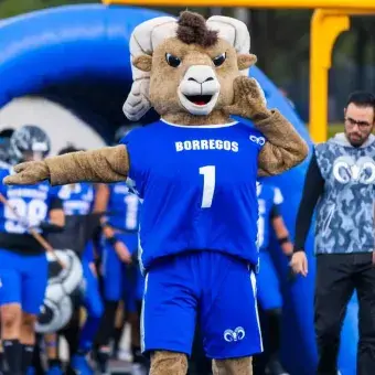 Borregos Toluca Juvenil, campeones invictos de la ONEFA 2025 (Fotos)