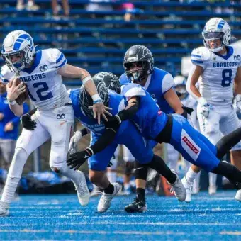 Borregos Toluca Juvenil, campeones invictos de la ONEFA 2025 (Fotos)