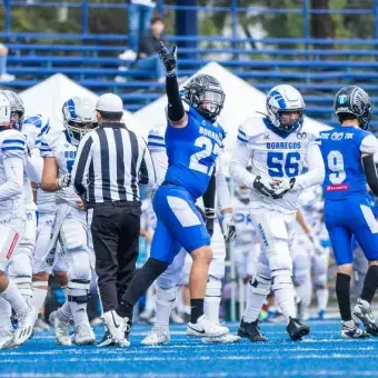 Borregos Toluca Juvenil, campeones invictos de la ONEFA 2025 (Fotos)