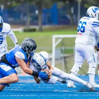 Borregos Toluca Juvenil, campeones invictos de la ONEFA 2025 (Fotos)