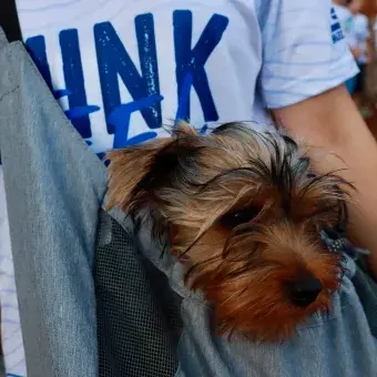 Vivencias de la Primera Carrera Borregos Think, Feel, Run 2025 powered by Skechers del Tec de Monterrey campus Chihuahua