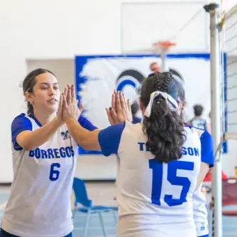 Dos jugadoras de voleibol chocan sus manos frente a la red. 