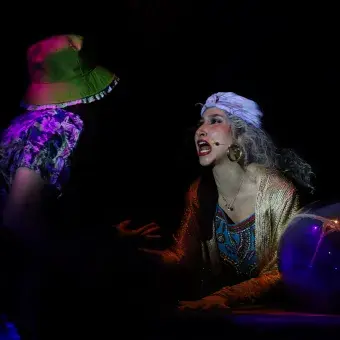 Puesta en escena El Circo sin Bestias