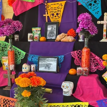 festival-humanidades-prepatec-obregon-navojoa