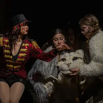 Puesta en escena El Circo sin Bestias